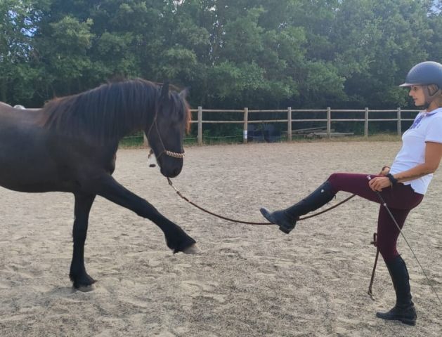 Préparation Physique pour les Cavaliers  à Rians